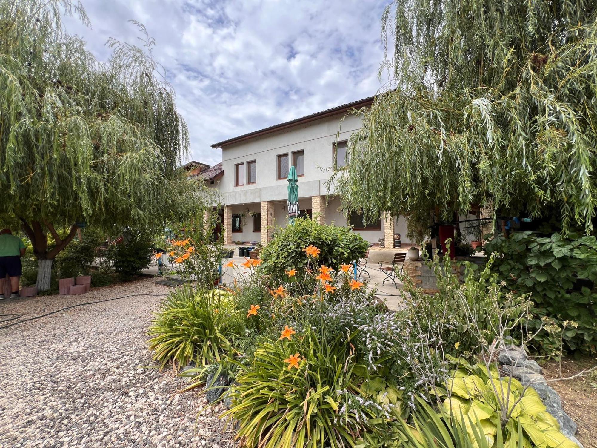 טולצ'אה Casa Vera, Tudor Vladimirescu מראה חיצוני תמונה